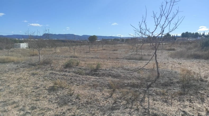 Murcia - Caravaca de la Cruz - 10434m2