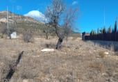 Sòl urbà en venda a la RM-C11, Lorca, ref.: TR99682 foto