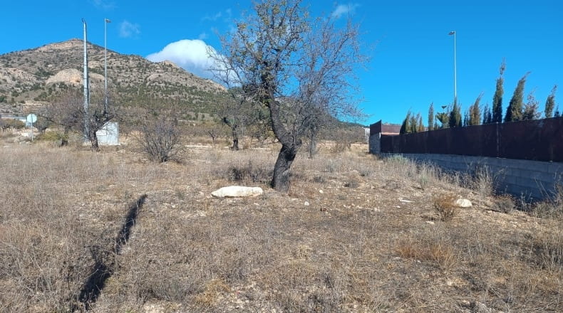 Murcia - Lorca - 503m2