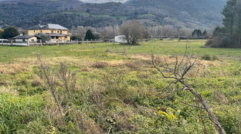 Orense - Arcos - 3185m2