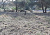 Land suitable for development for sale on Camí de la Cobellada, Canyelles, ref: TR99686 photo