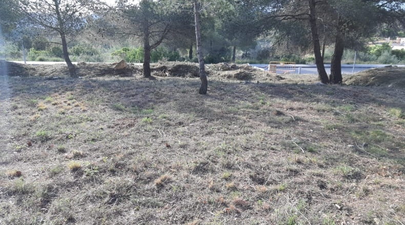 Barcelona - Canyelles - 600m2