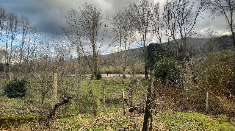 Orense - Arcos - 2091m2