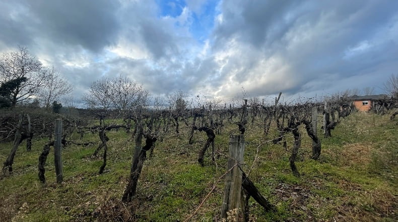 Orense - Arcos - 2091m2