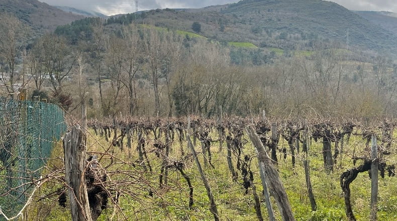 Orense - Arcos - 2091m2