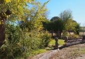 Village house for sale on Callejón Queipo de Llano , Puebla del Maestre, ref: TR99830 photo