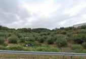 Terreny no urbanitzable en venda a la camí de Tico, Terrassa, ref.: TR99834 foto