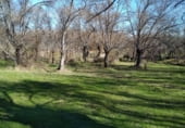 Non-developable land for sale on Calzada Romana, El Escorial, ref: TR99840 photo