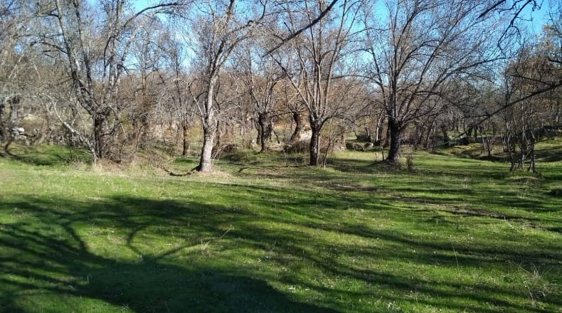 Community of Madrid - El Escorial - 7647m2