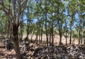Non-developable land for sale on Calzada Romana, El Escorial, ref: TR99840 photo