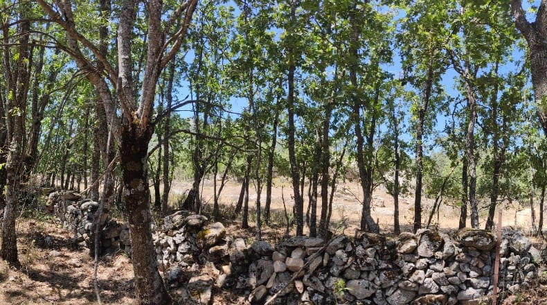 Community of Madrid - El Escorial - 7647m2
