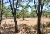 Non-developable land for sale on Calzada Romana, El Escorial, ref: TR99840 photo