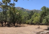 Non-developable land for sale on Calzada Romana, El Escorial, ref: TR99840 photo