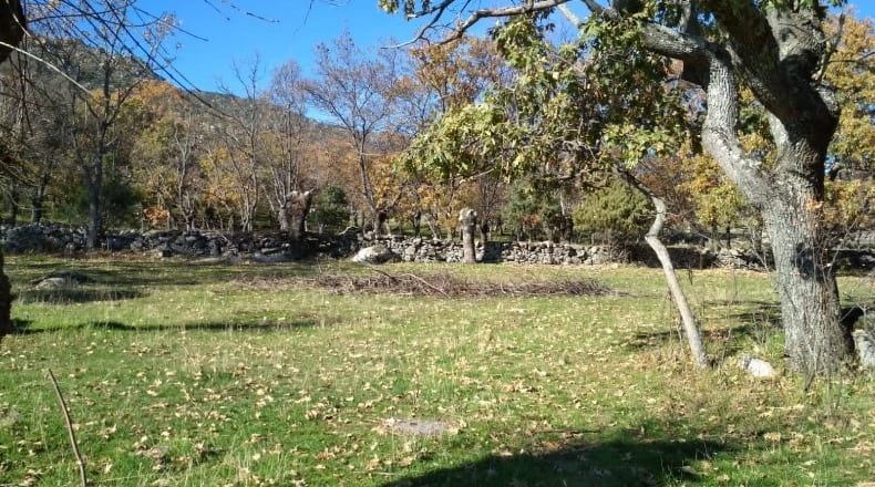 Community of Madrid - El Escorial - 7647m2