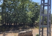 Non-developable land for sale on Calzada Romana, El Escorial, ref: TR99840 photo