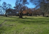 Non-developable land for sale on Calzada Romana, El Escorial, ref: TR99840 photo