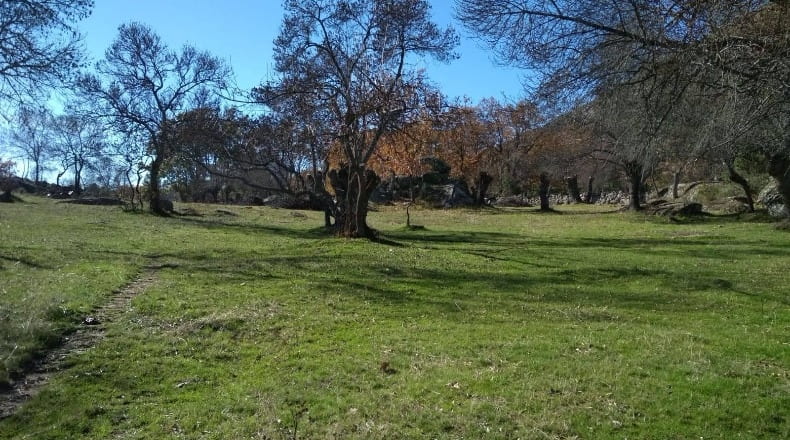 Community of Madrid - El Escorial - 7647m2