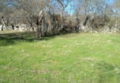 Non-developable land for sale on Calzada Romana, El Escorial, ref: TR99840 photo