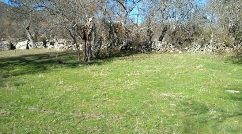 Community of Madrid - El Escorial - 7647m2