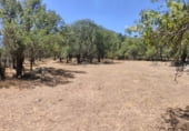 Non-developable land for sale on Calzada Romana, El Escorial, ref: TR99840 photo