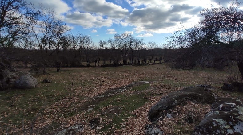 Community of Madrid - El Escorial - 7647m2