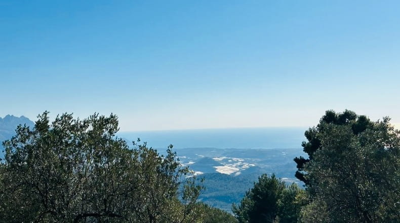 Alicante - Benimantell - 12917m2
