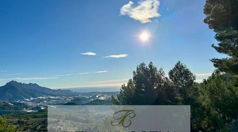 Alicante - Benimantell - 12917m2