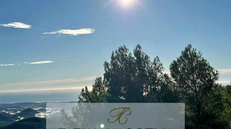 Alicante - Benimantell - 12917m2