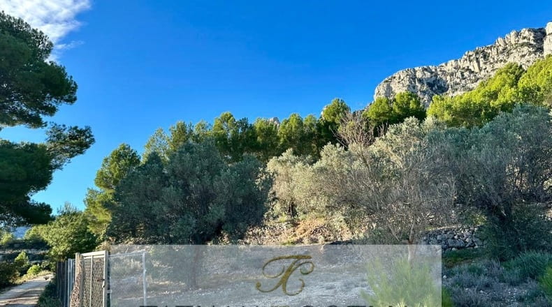 Alicante - Benimantell - 12917m2