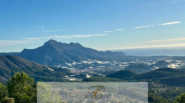 Alicante - Benimantell - 12917m2