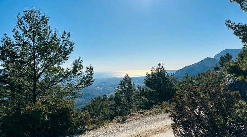 Alicante - Benimantell - 11937m2