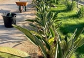 Finca rústica en venda a la CV-42, Algemesí, ref.: TR99858 foto