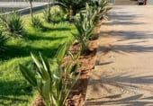 Finca rústica en venda a la CV-42, Algemesí, ref.: TR99858 foto