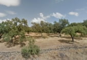 Non-developable land for sale on Arroyomolinos de León, ref: TR99846 photo