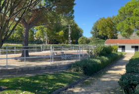 Foto 15