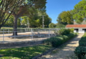 Finca rústica en venda a la Las Infantas, ref.: TR99843 foto