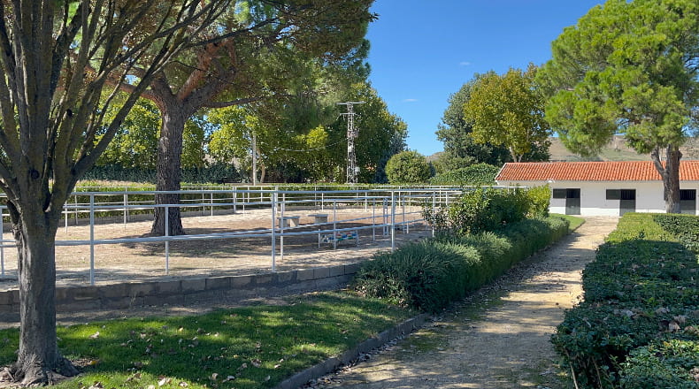 Comunidad de Madrid - Las Infantas - 140000m2