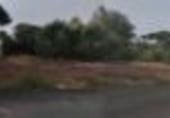 Sòl urbà en venda a la CL MUSGO 12, Chiclana de la Frontera, ref.: TR99863 foto