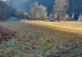 Urban land for sale on Pla de Sant Ramon, Camprodon, ref: TR99876 photo