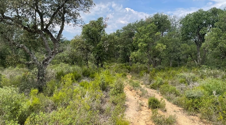 Girona - Llagostera - 150000m2