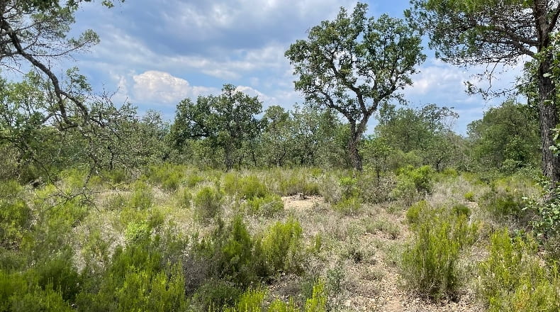 Girona - Llagostera - 150000m2