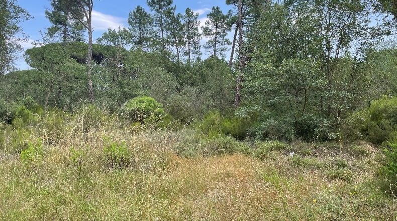 Girona - Llagostera - 150000m2