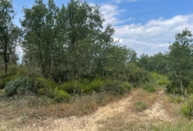 Foto 6