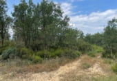 Terreno no urbanizable en alquiler en la Can Guillem, Llagostera, ref: TR99877 foto