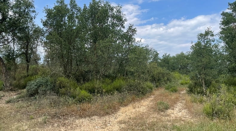 Girona - Llagostera - 150000m2