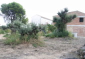 Casa solar amb terreny en venda a la Carretera Montilla-Nueva Cartella, Montilla, ref.: TR99958 foto