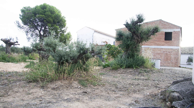 Córdoba - Montilla - 17500m2