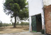 Casa solar amb terreny en venda a la Carretera Montilla-Nueva Cartella, Montilla, ref.: TR99958 foto