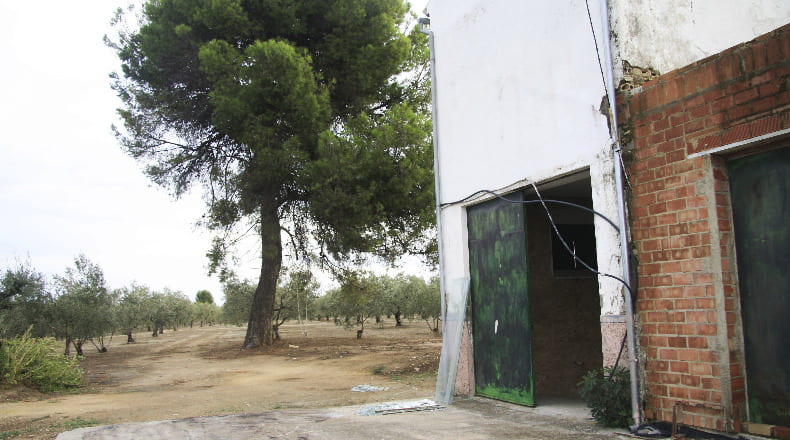Córdoba - Montilla - 17500m2
