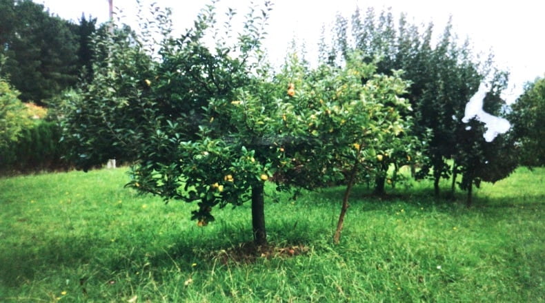 La Corunya - Cambre - 6330m2
